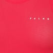 Falke