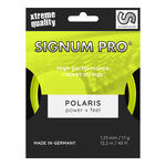 Cordages De Tennis Signum Pro POLARIS 12m