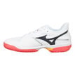 Mizuno