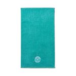 Serviettes Christy Embroidered Guest Towel - Aqua