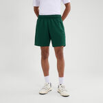 Vêtements Ellesse Ellesse Zanica Shorts Hommes-vert foncé