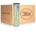 Balles De Tennis HEAD Gravity 36 Dosen im Umkarton