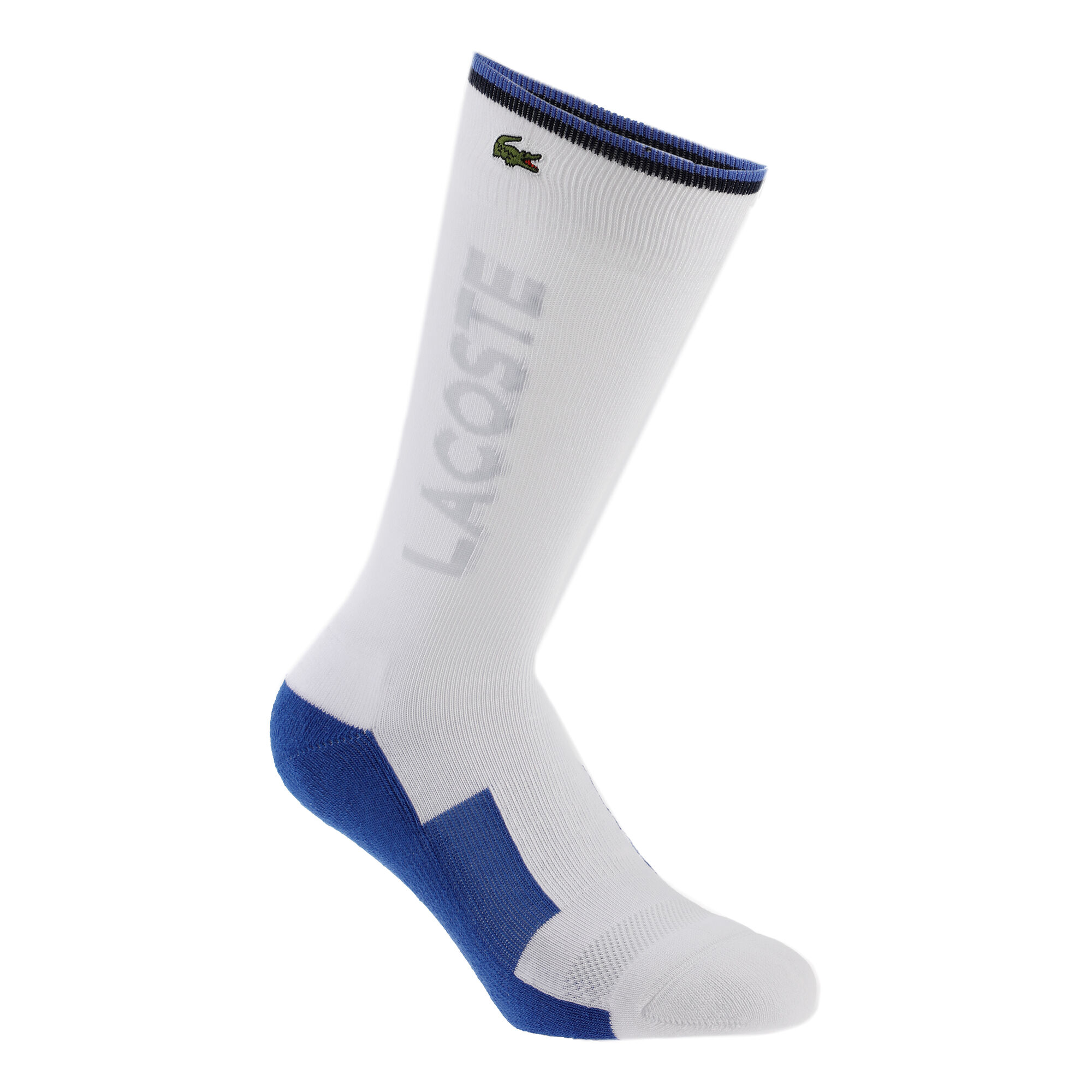 basket chaussette lacoste