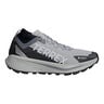 Terrex Agravic GTX Chaussure trail Hommes-gris, blanc