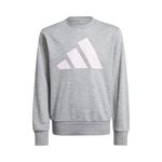 Vêtements adidas Essentials Sweatshirt