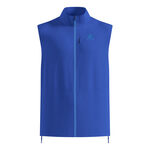 V&ecirc;tements Odlo Odlo Zeroweight  Gilets de course Hommes-bleu