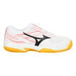 Mizuno
