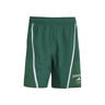 Designed For Shorts Hommes-Vert,Blanc