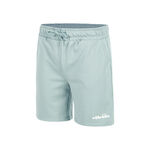 V&ecirc;tements Ellesse Ellesse Molla Shorts Hommes-Sauge