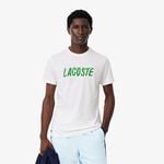 Vêtements Lacoste T-Shirt