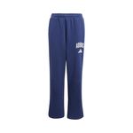 Vêtements adidas J CLGT FL PNT