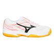 Mizuno