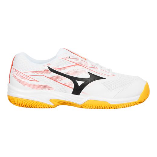 Mizuno