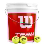 Balles De Tennis Wilson Team W Trainer 72 Tennisbälle im Eimer