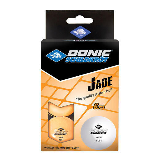 Schildkr&ouml;t Fitness