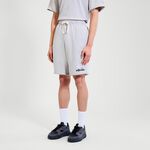 Vêtements Ellesse Trevor Short