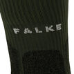 Falke