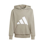 Vêtements adidas adidas Essentials Sweat À Capuche Enfants-Beige,Blanc