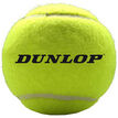 Dunlop