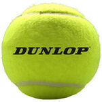 Balles g&eacute;antes Dunlop Dunlop Giant Ball Pack 1 Unit&eacute;