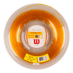 Cordages De Tennis Wilson Poly Gold 200m gold