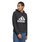 Vêtements adidas Big Logo Hoody