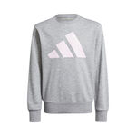 Vêtements adidas adidas Essentials Sweat-shirt Enfants-Gris,Blanc