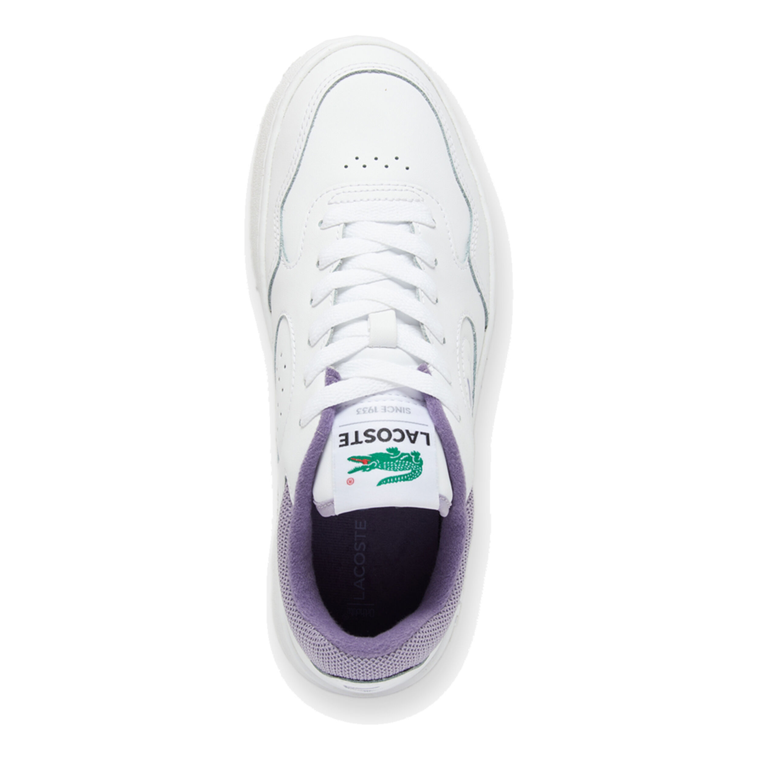 Lacoste shoes ortholite sale
