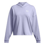 Vêtements Under Armour Trival Terry OS Hoody