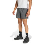 adidas adidas adi365 5in  Short de running Hommes-gris
