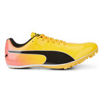 Chaussures De Running Puma evoSPEED Sprint 14