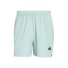 D4T Essentials 7Inch Shorts Hommes-mint