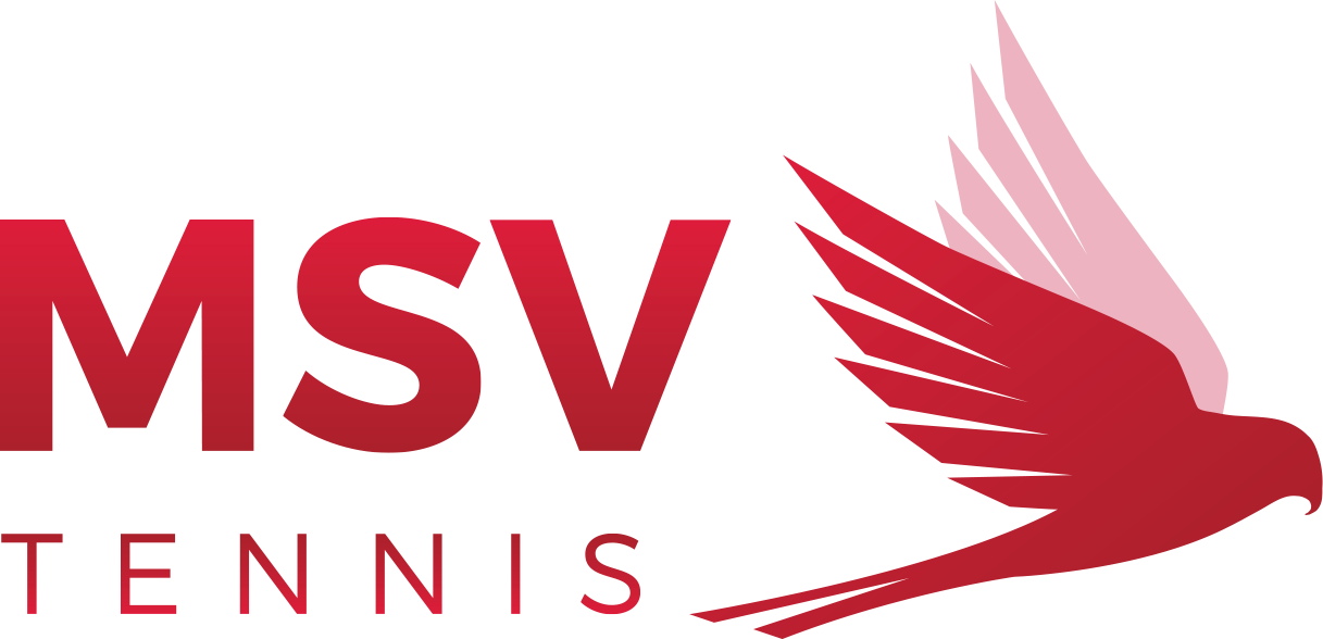 MSV